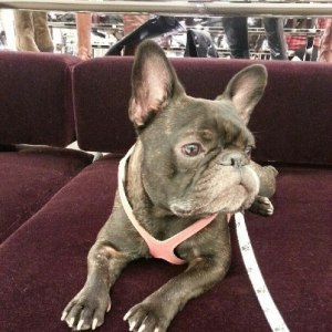 548796_10100474081653571_617745059_n